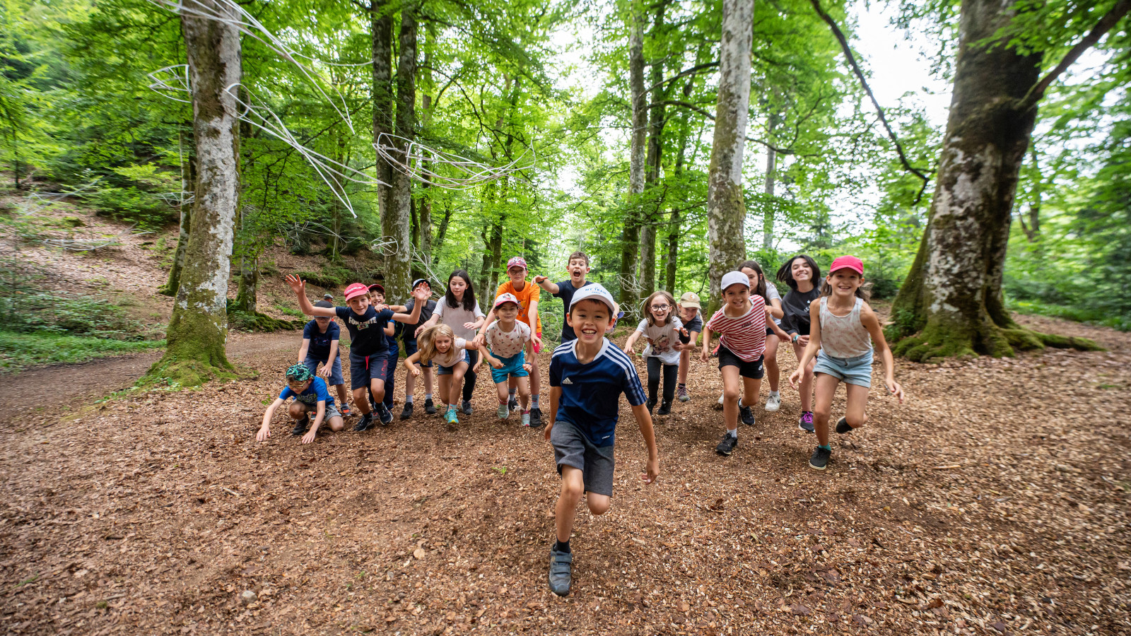 Classe verte, animation loup - Centre Les Coulmes, Saint-Julien-en-Vercors - PNR Vercors (26) 