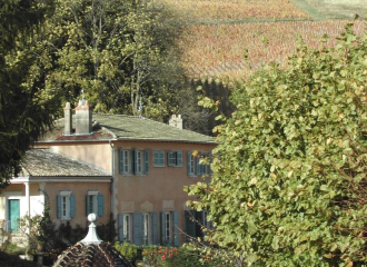 Château de Javernand à CHIROUBLES