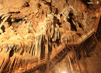 Aven Marzal : Grotte et Zoo Préhistorique