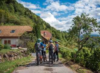 Vélo Vignes : Découvrez les vignes à vélo