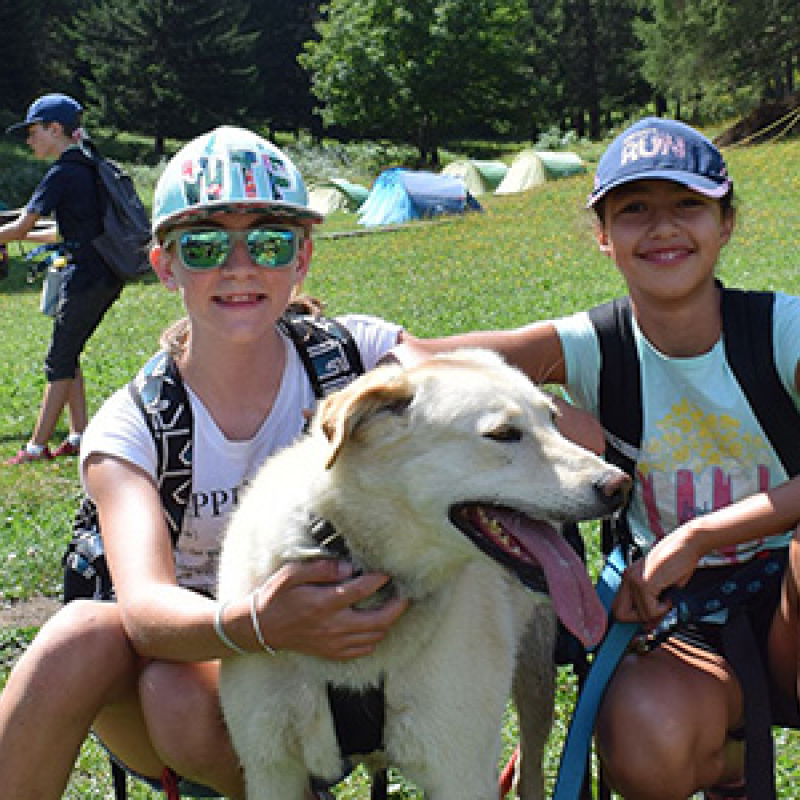 Passion Huskies et montagne