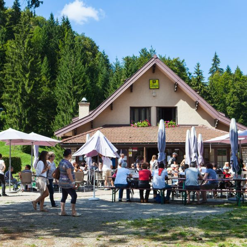 Bar de l'Auberge du Lac Genin