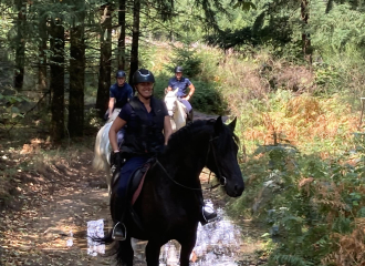 Balades à cheval et poney