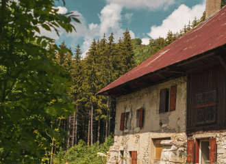 Petite restauration à la ferme du Morbier