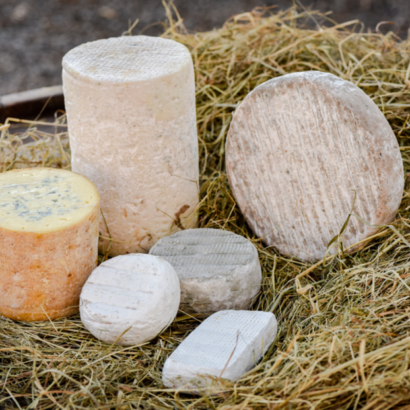 Entreprise laitière de Sauvain - fromagerie