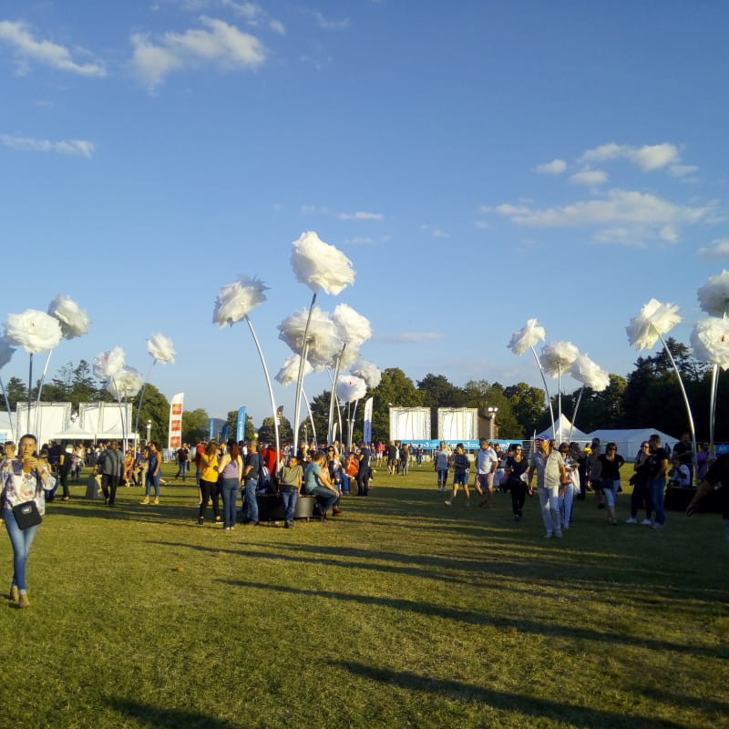 polo club de la plaine de l'Ain