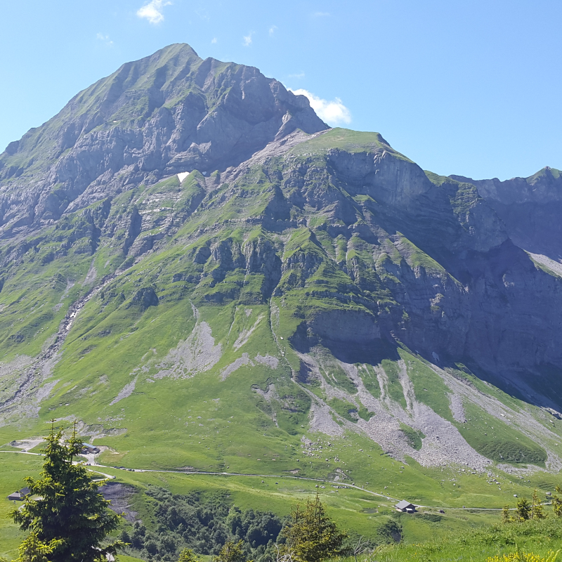 Vue depuis Praz-Vechin