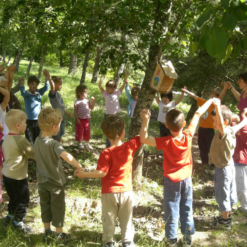 Classe decouverte musique foret