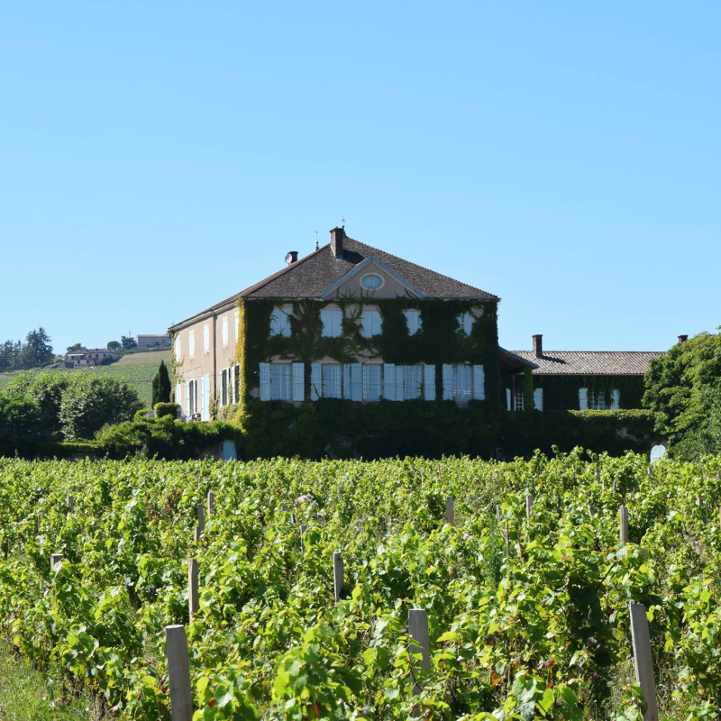 Château des Bachelards à Fleurie