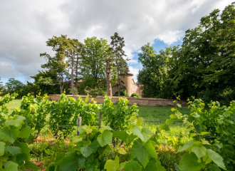 Domaine Viticole du Château de Champ-Renard