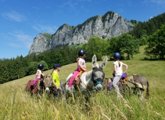 Randonnée à dos d'âne à Thollon