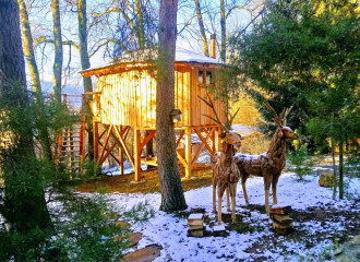 Cabane perchée