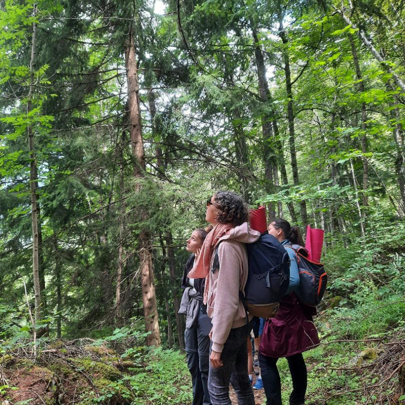 groupe d'adultes en pleine contemplation dans une foret