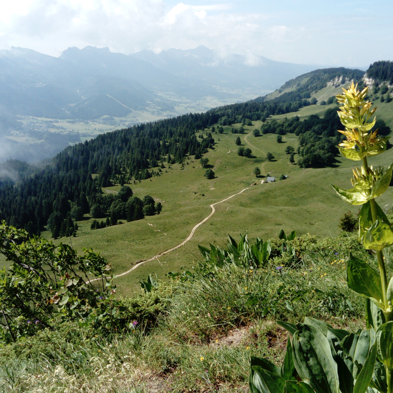 Randonnée de crêtes en vallons - Bureau des Guides