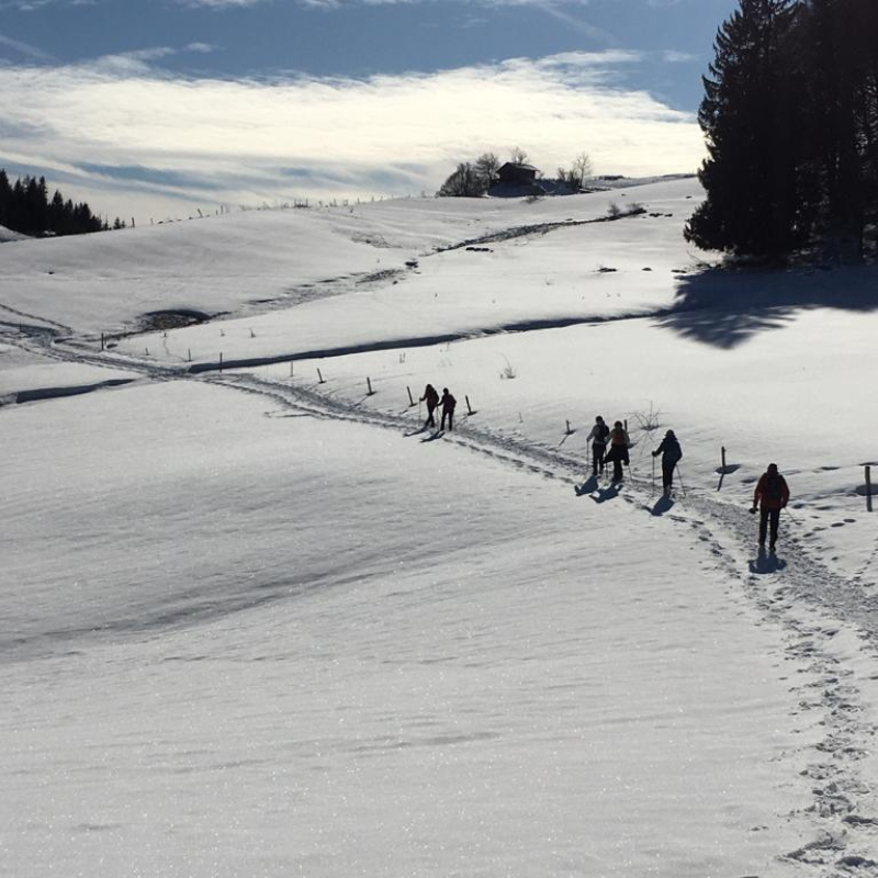 Cross-country skiing club