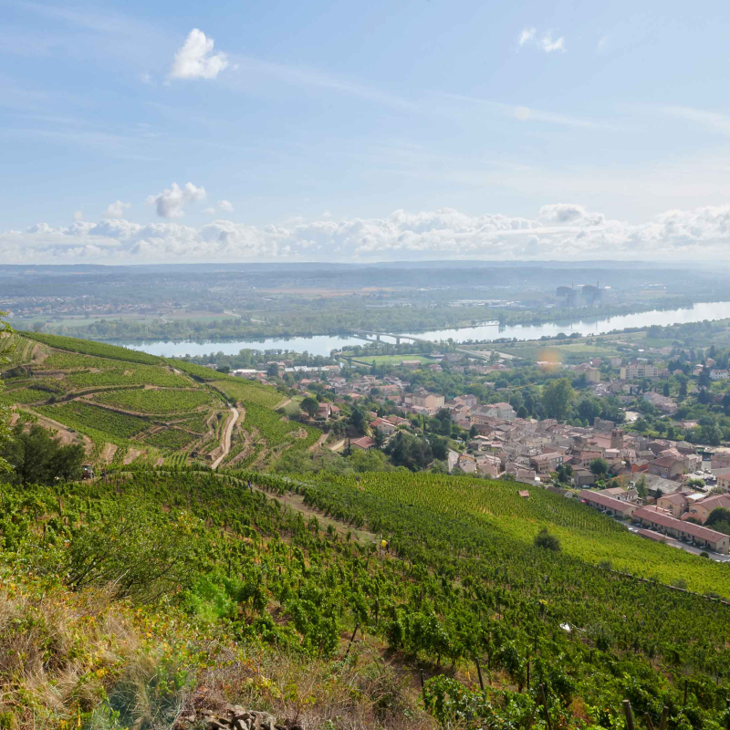 Cellar tours and tastings at Domaine Verzier