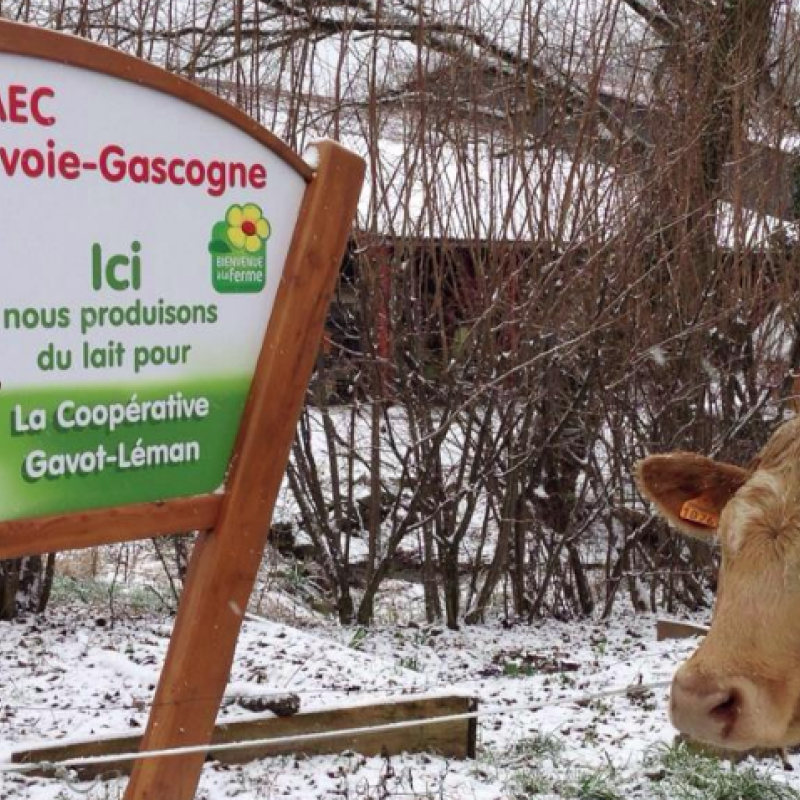 Gaec Savoie Gascogne