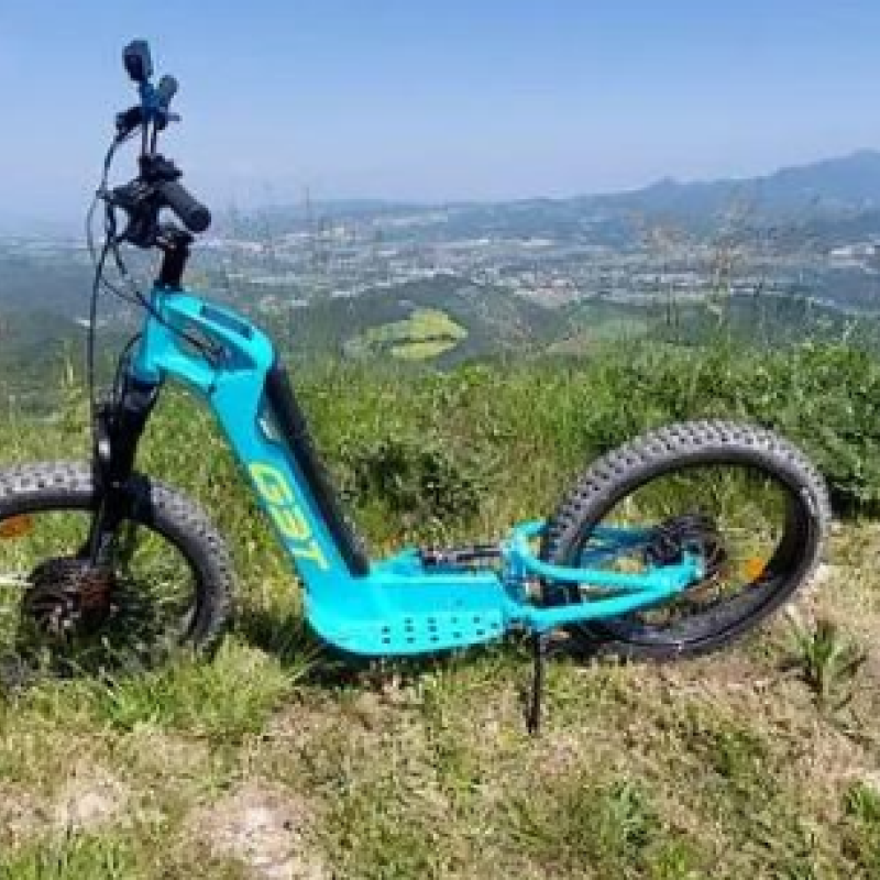 Jaillance Vineyards by Electric Scooter