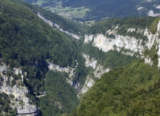 La vallée des fossiles