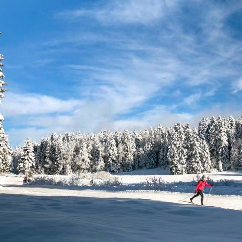 Valorse - Piste rouge de ski nordique