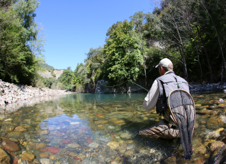 Comme un poisson dans l'eau....