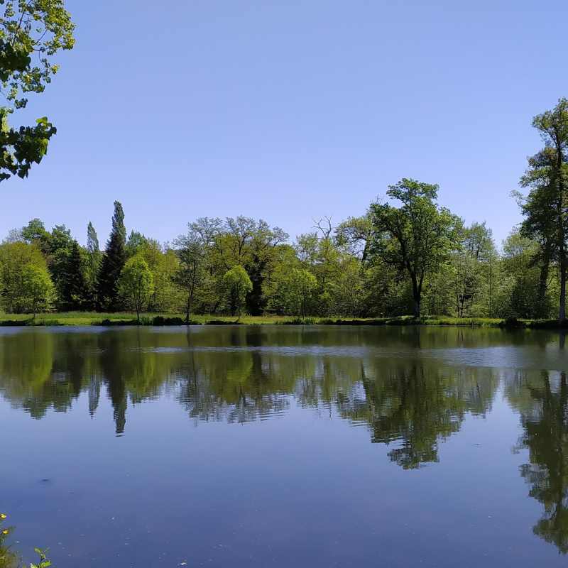 Trout fishing pond Domaine du Fau