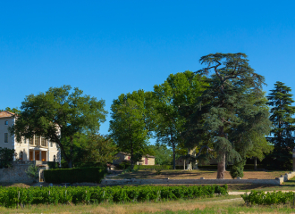 Domaine Walbaum