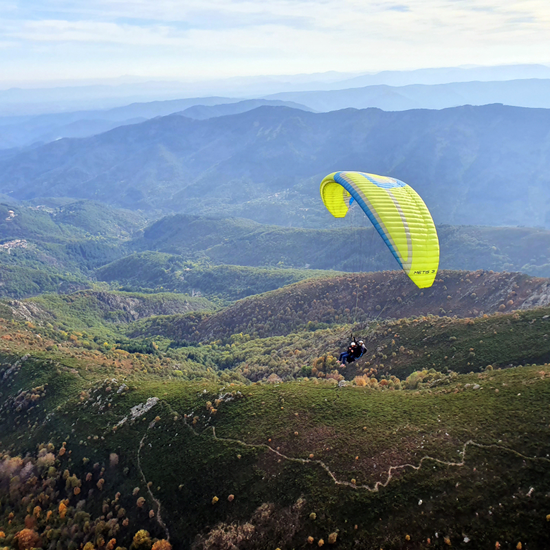 Taranis Parapente