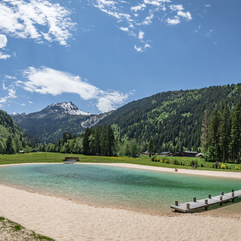 Swimming Lake