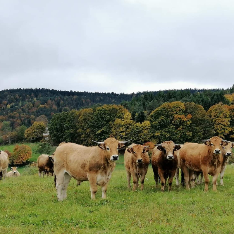 Ferme des Hautes Terres