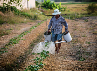 Producteur la ferme des courtins