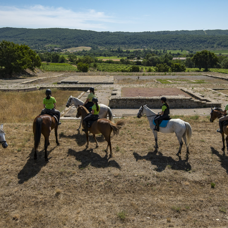 Alba Équitation