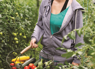 Le potager des Narces