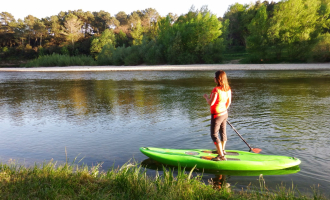 Paddle of the barn of the Pine