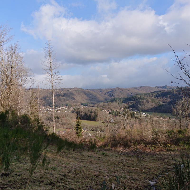 vue sur Champs