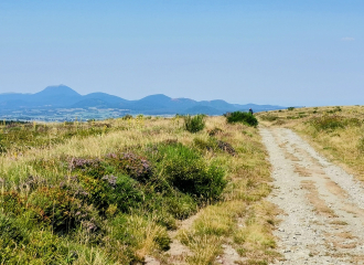 Rando VTT à profil descendant