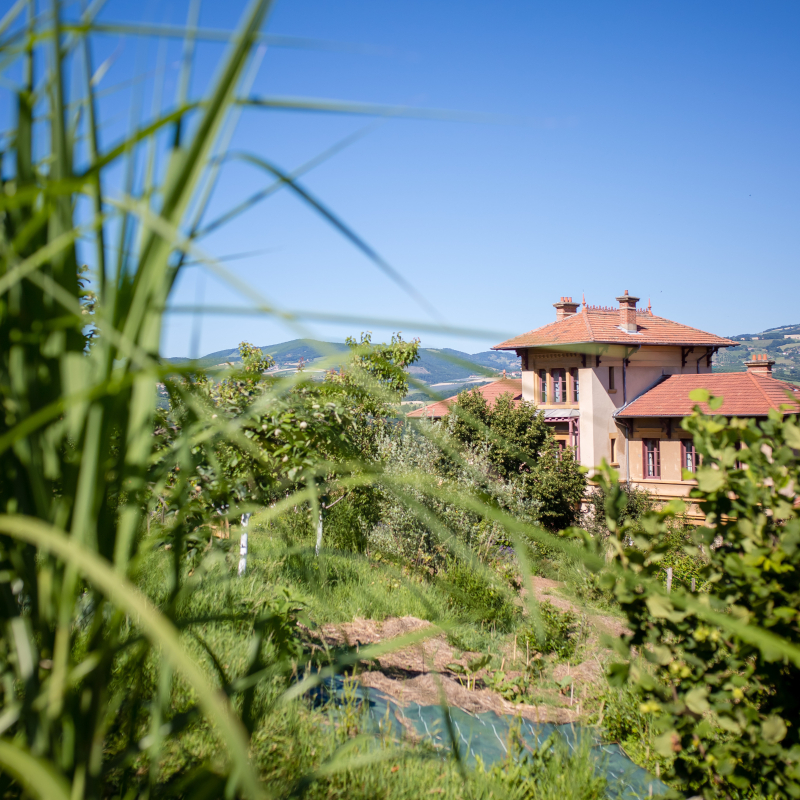 Les jardins de La Source dorée