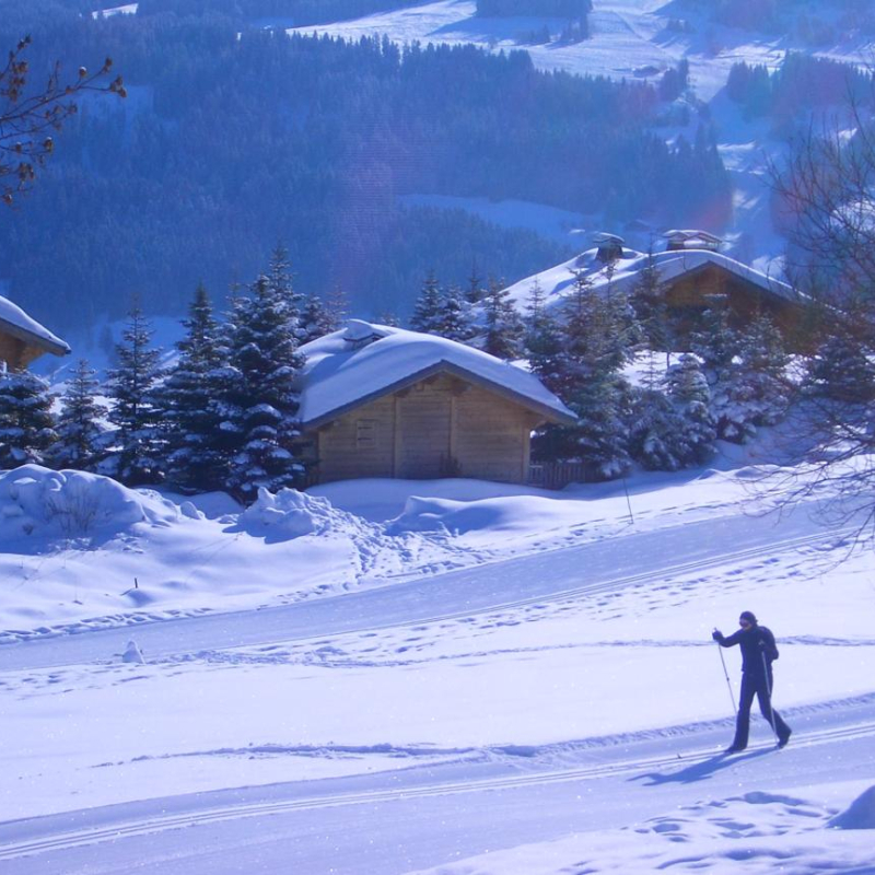 Piste de ski de fond verte