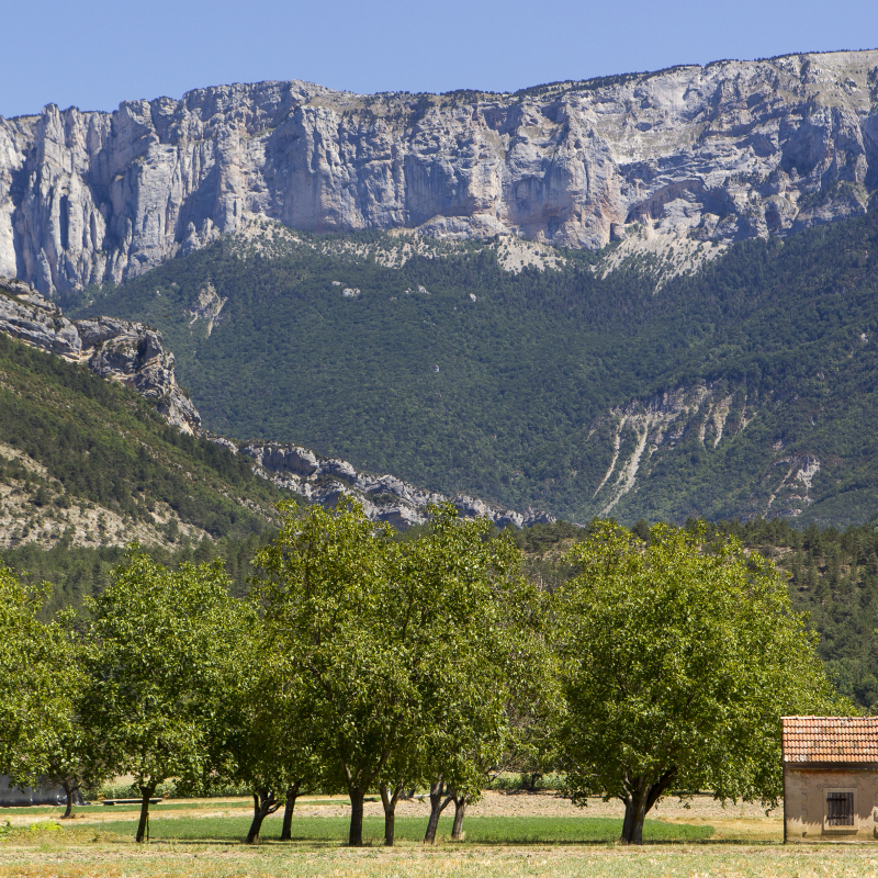 Aux sources de la Drôme (itinéraire n°7)