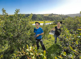 La ferme des grands bois