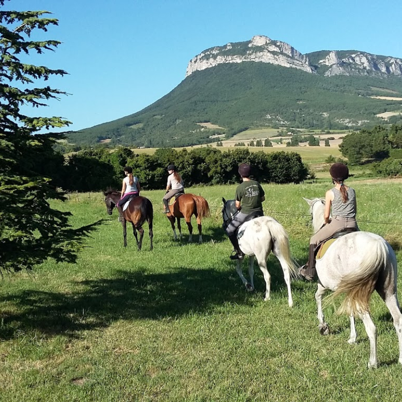 Equitation Les Crinières de Roche Colombe - Ferme équestre