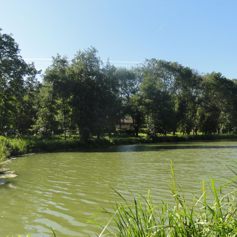 Le bocage de Cormoz - Etang de Mépillat