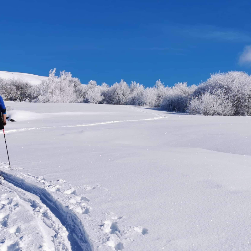 ski touring from Valezan