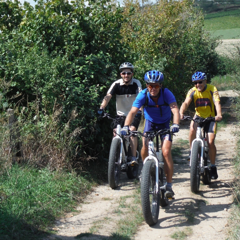 Vélos à assistance électrique