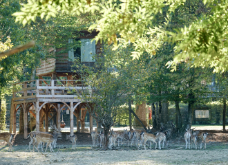 cabane Renne parc des cervidés