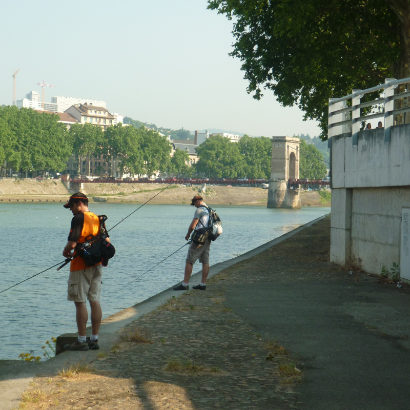 Pêche aux carnassiers du  bord Street Fishing