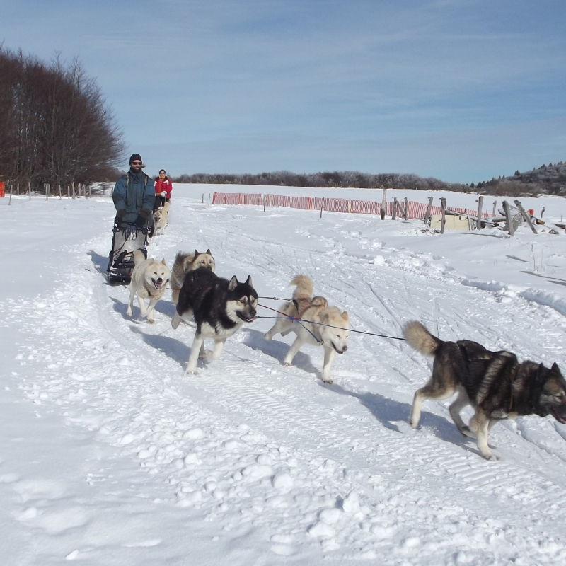 La Meute d'Angakoq : Traîneau à chiens