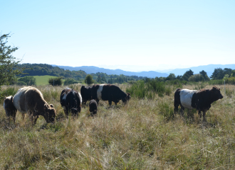 Ferme du Grand Freydier