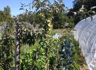 Le potager de Dantonnière