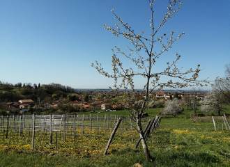 Domaine de La Combes aux Rêves